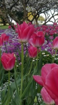 40427119_10217618765278895_9092547320133713920_n